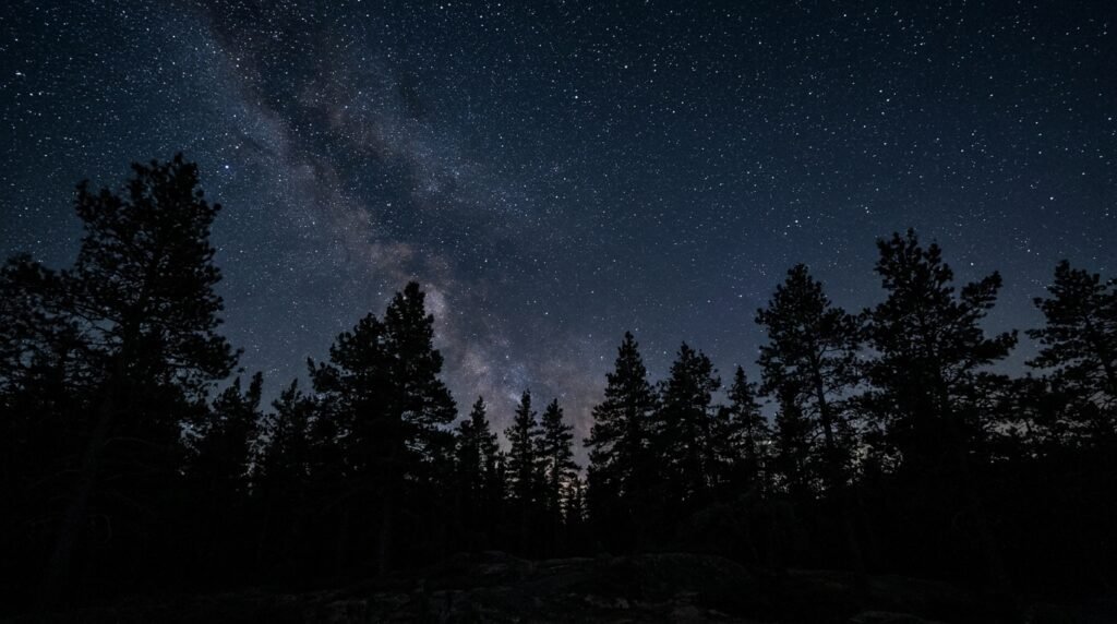 Silhueta de floresta de pinheiros sob um vasto céu noturno estrelado.